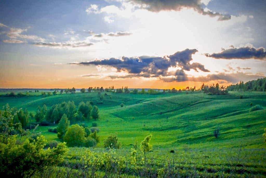 Природа Мордовии