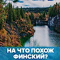 Сходство финского языка с другими языками обложка