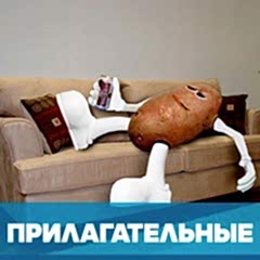 Прилагательные в финском языке обложка