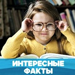 Топ-10 удивительных фактов о Финляндии, и не только обложка