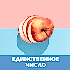 Единственное число в финском языке обложка